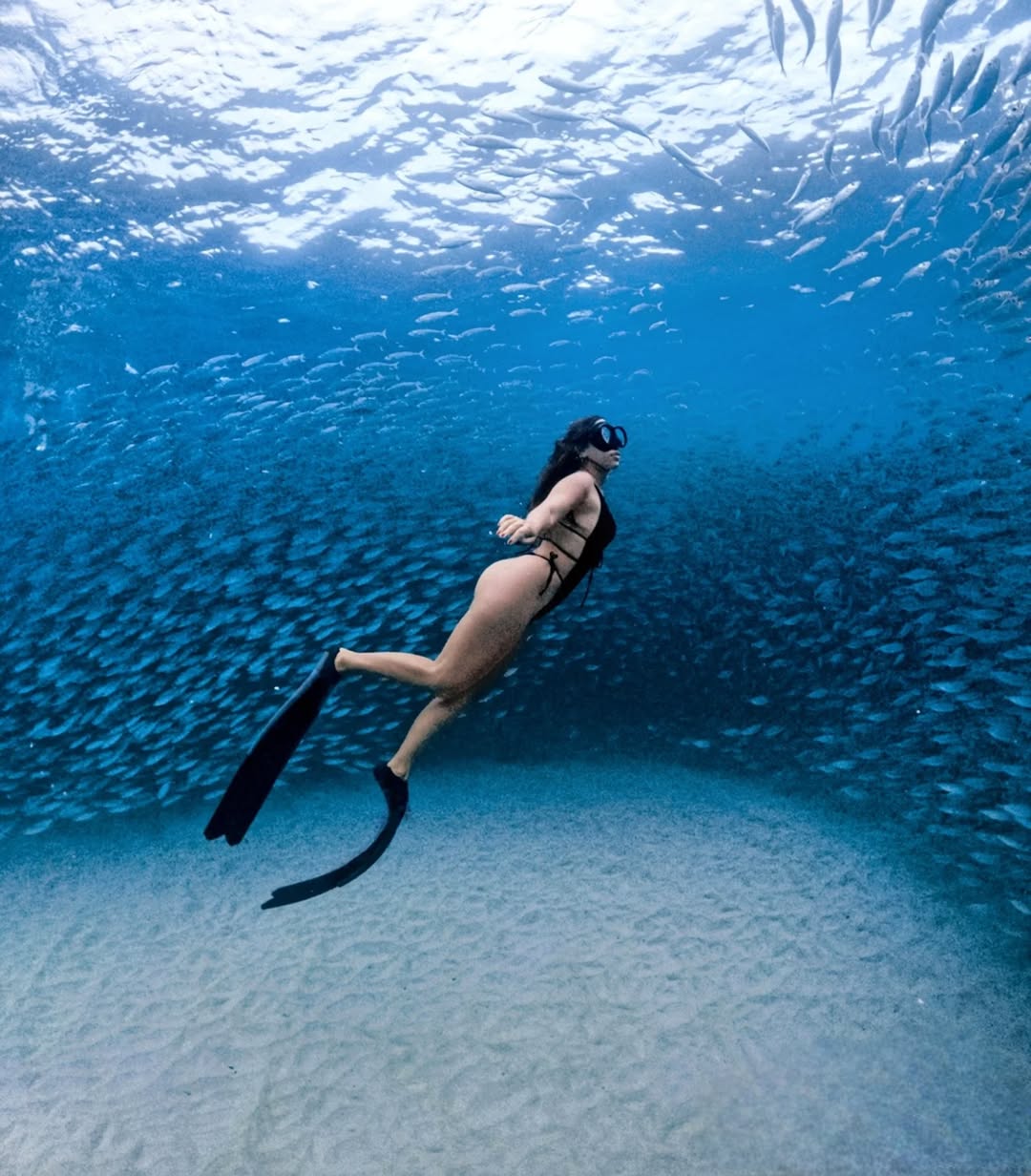 Mergulho de Snorkel c/ Registros Sub